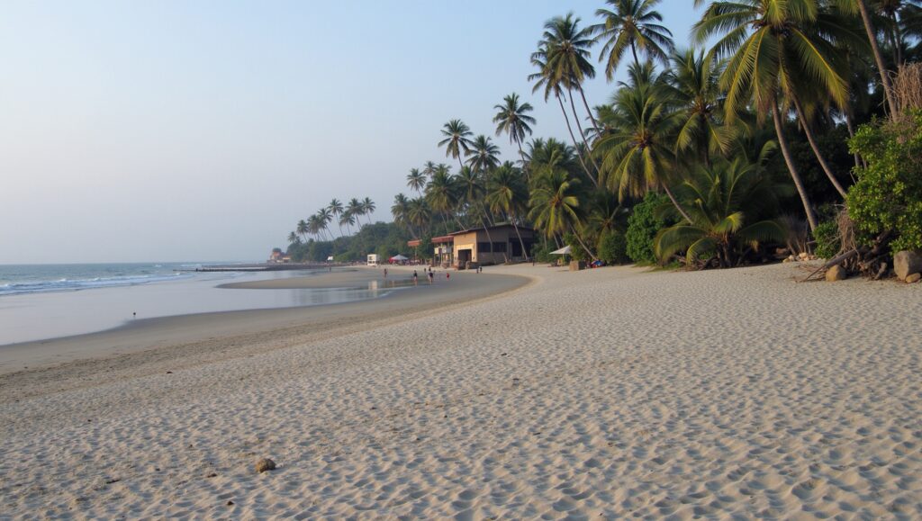 Costa Rica Real Estate Deals
